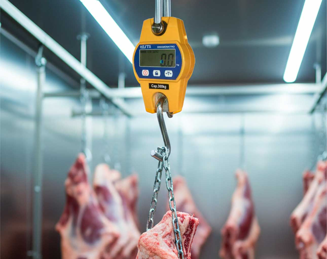 Scale installation in livestock chute