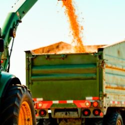 vesta-grain-cart-weighing-article